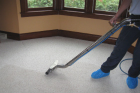 Carpet Cleaner