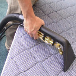 Mattress Cleaning